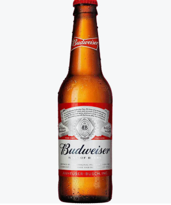 Cerveja Budweiser 330ml
